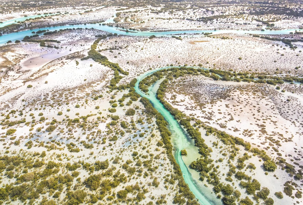 Aerial view of a tidal creek winding through the sabkha and mangrove scrub of Saadiyat's marine national park
